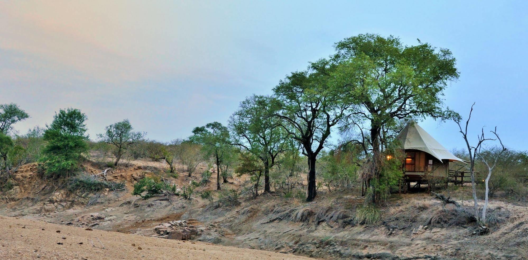 Hamiltons Tented Camp Mluwati Concession Exterior photo